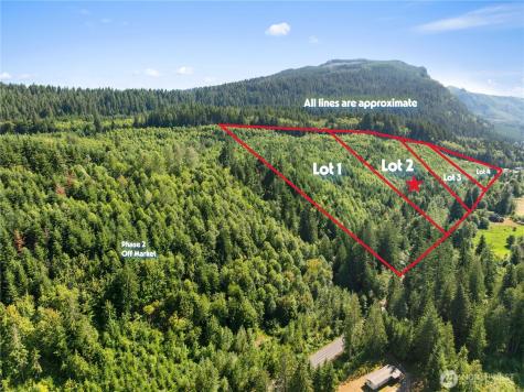 2 Skinner Road Randle WA 98377