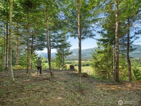 2 Skinner Road Randle WA 98377