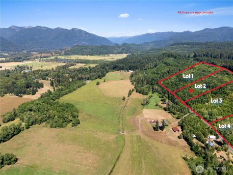 2 Skinner Road Randle WA 98377