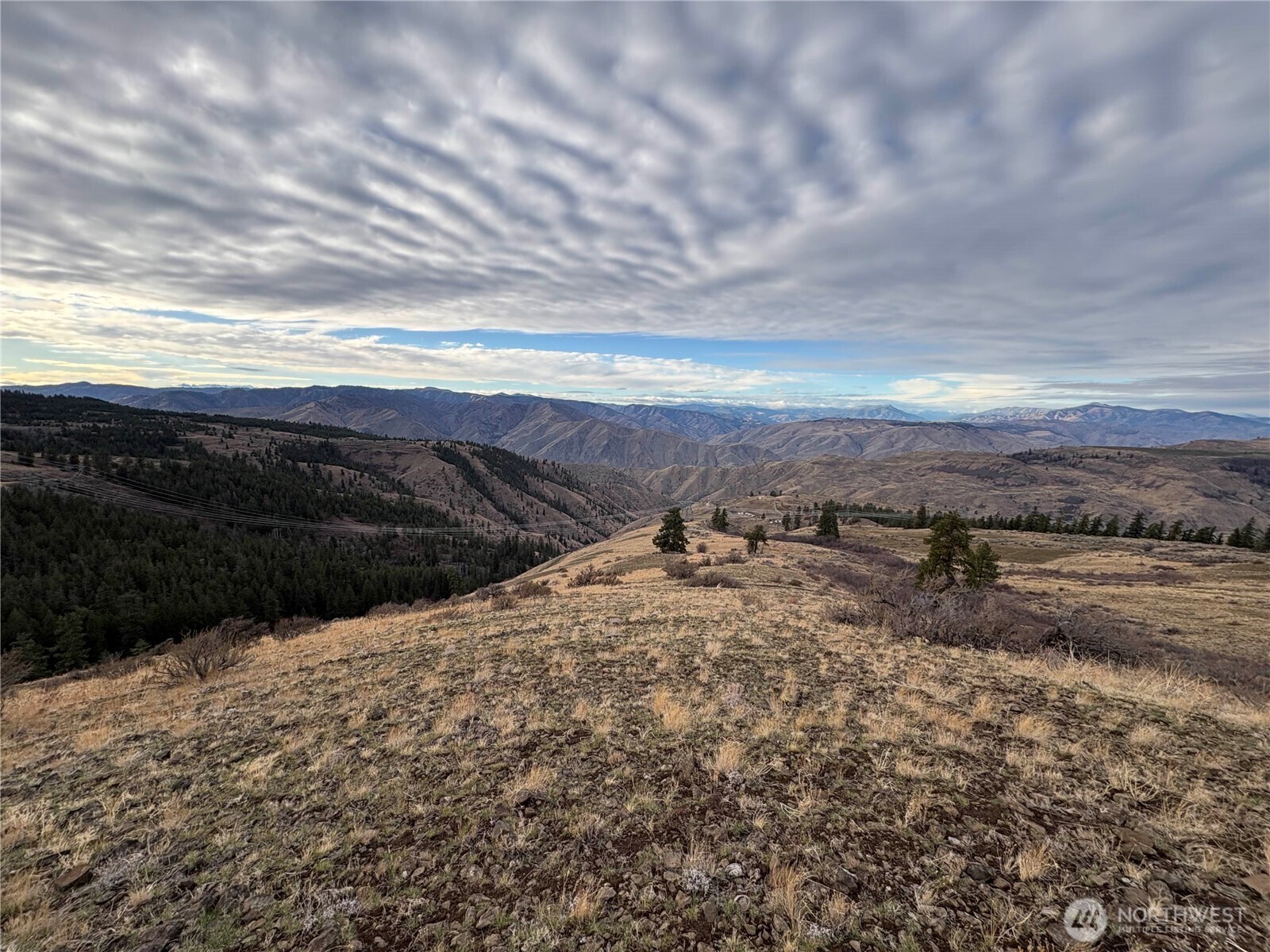 0 Deer Creek Drive Waterville WA 98858