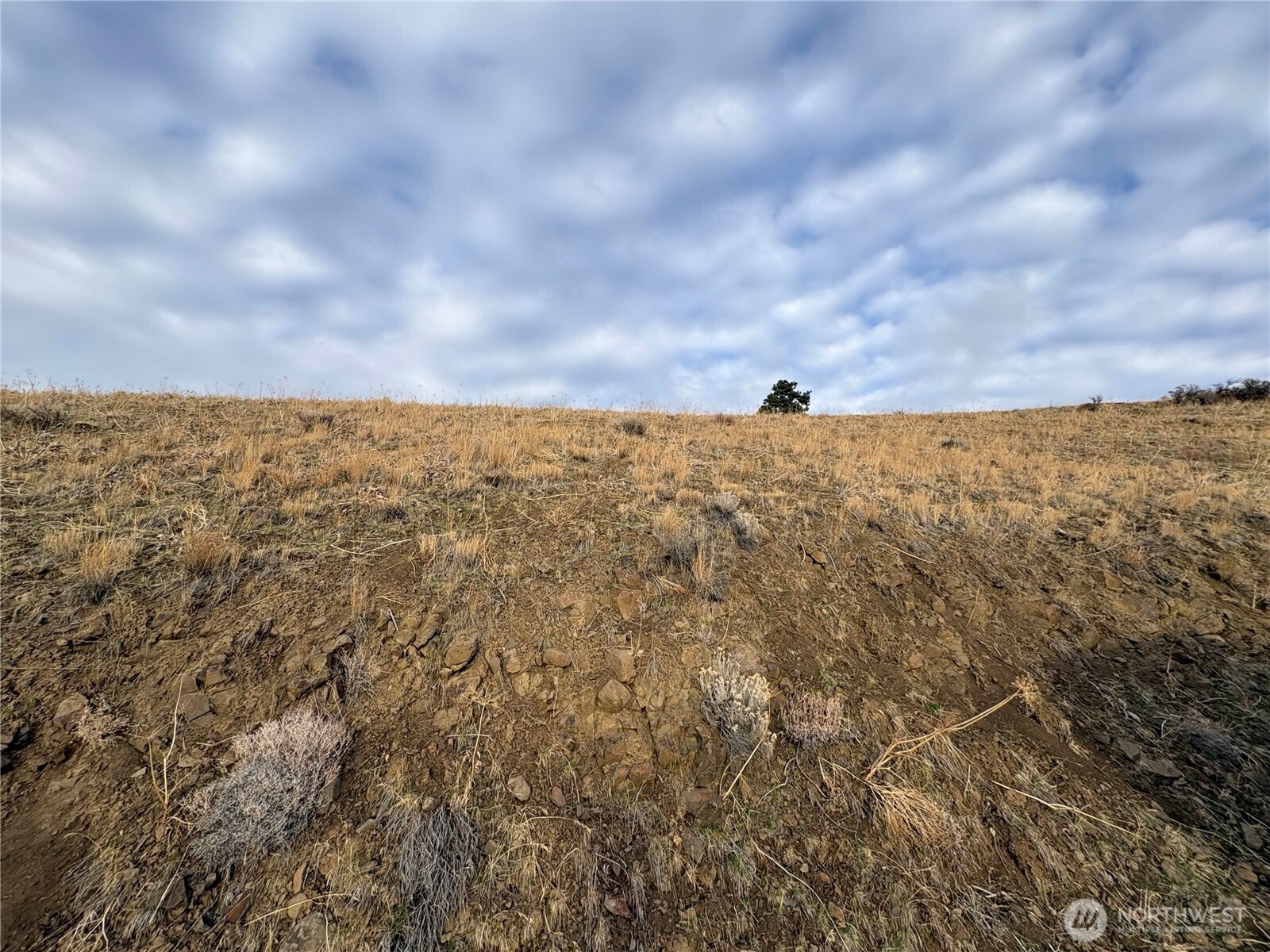 0 Deer Creek Drive Waterville WA 98858