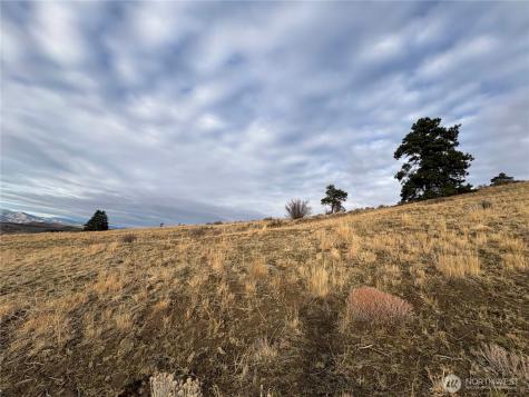 0 Deer Creek Drive Waterville WA 98858