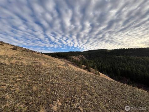 0 Deer Creek Drive Waterville WA 98858