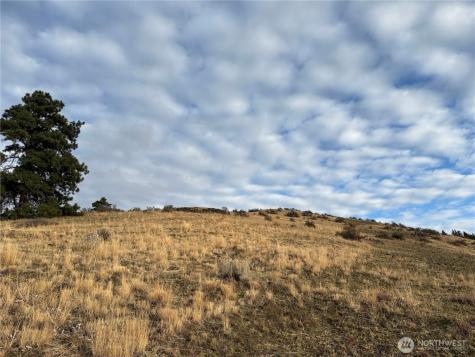 0 Deer Creek Drive Waterville WA 98858