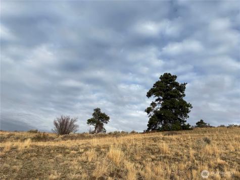 0 Deer Creek Drive Waterville WA 98858