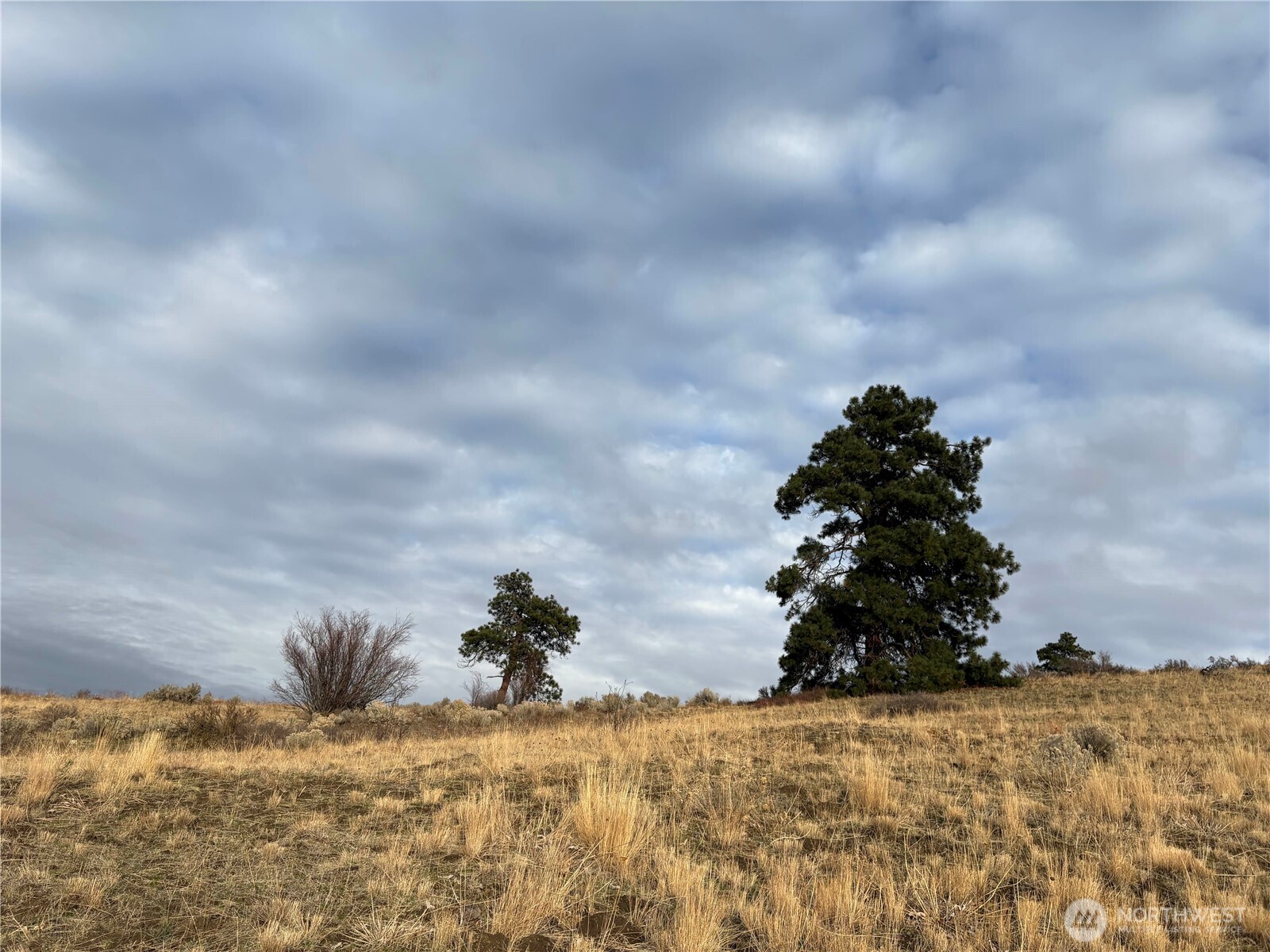 0 Deer Creek Drive Waterville WA 98858