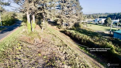 0 Railroad Avenue Pacific Beach WA 98571