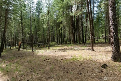 578 Lost River Road Mazama WA 98833