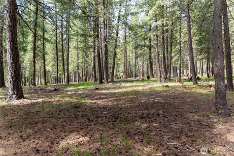 578 Lost River Road Mazama WA 98833