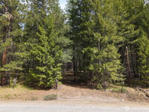 578 Lost River Road Mazama WA 98833