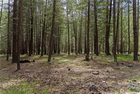 578 Lost River Road Mazama WA 98833