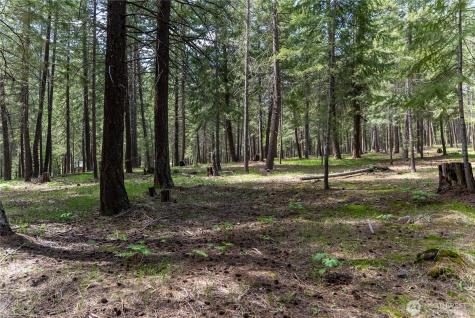 578 Lost River Road Mazama WA 98833