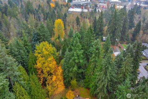 15 3rd Avenue SE Mill Creek WA 98012