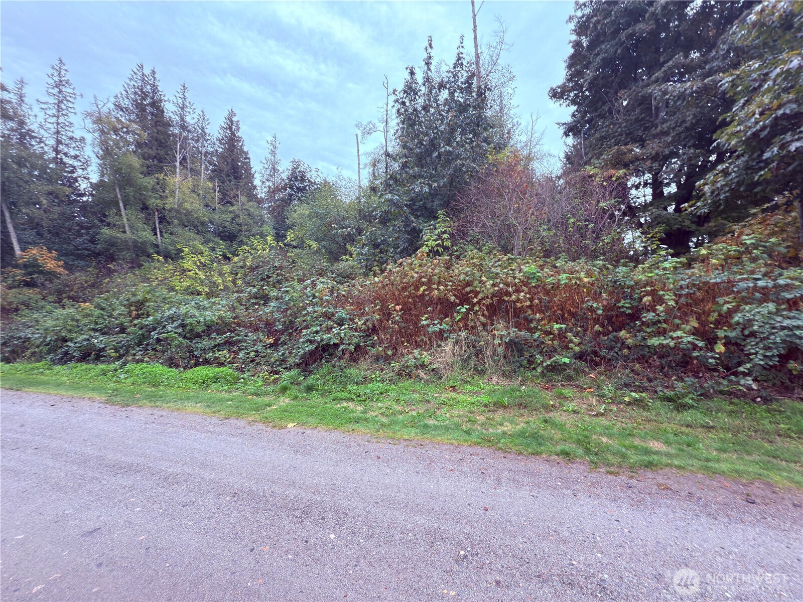73 Saratoga Drive Hat Island WA 98206