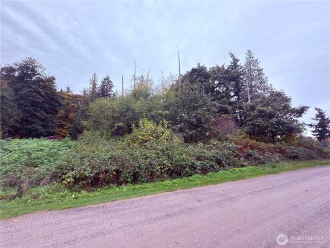 73 Saratoga Drive Hat Island WA 98206