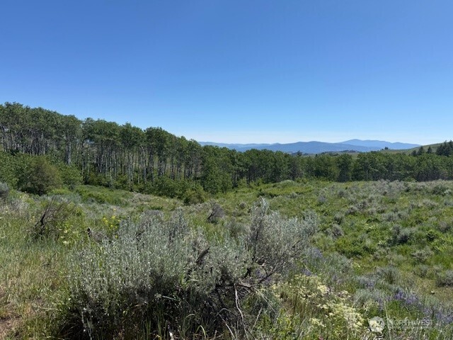 111 Tbd Ellemeham Ridge Road Oroville WA 98844