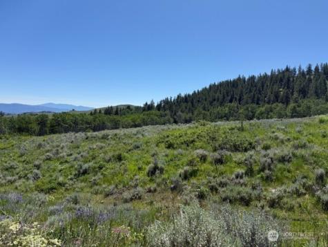 111 Tbd Ellemeham Ridge Road Oroville WA 98844