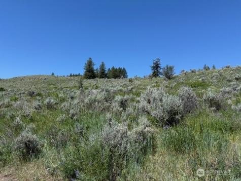 111 Tbd Ellemeham Ridge Road Oroville WA 98844
