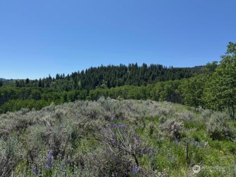 111 Tbd Ellemeham Ridge Road Oroville WA 98844