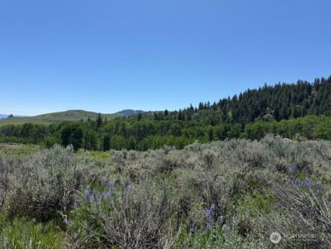 111 Tbd Ellemeham Ridge Road Oroville WA 98844