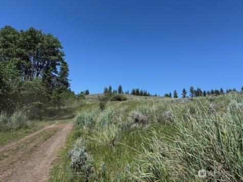 111 Tbd Ellemeham Ridge Road Oroville WA 98844