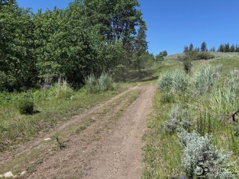 111 Tbd Ellemeham Ridge Road Oroville WA 98844