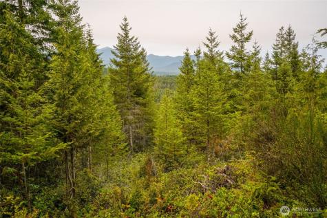 0 N Hamma Ridge Court Lilliwaup WA 98555