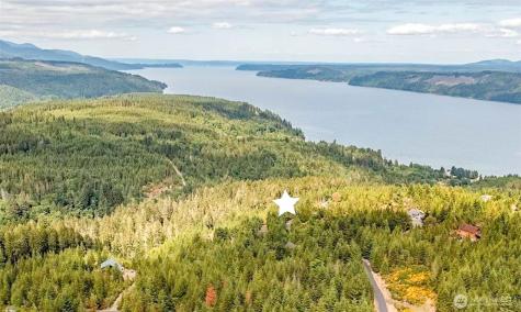 0 N Hamma Ridge Court Lilliwaup WA 98555