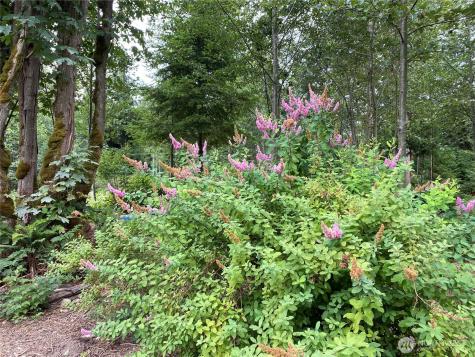2514 177th Avenue NE Snohomish WA 98290