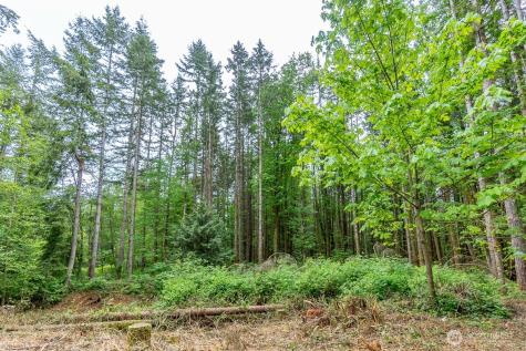 3804 129th Place NW Tulalip WA 98271