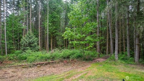 3804 129th Place NW Tulalip WA 98271