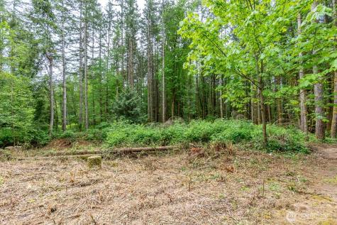 3804 129th Place NW Tulalip WA 98271