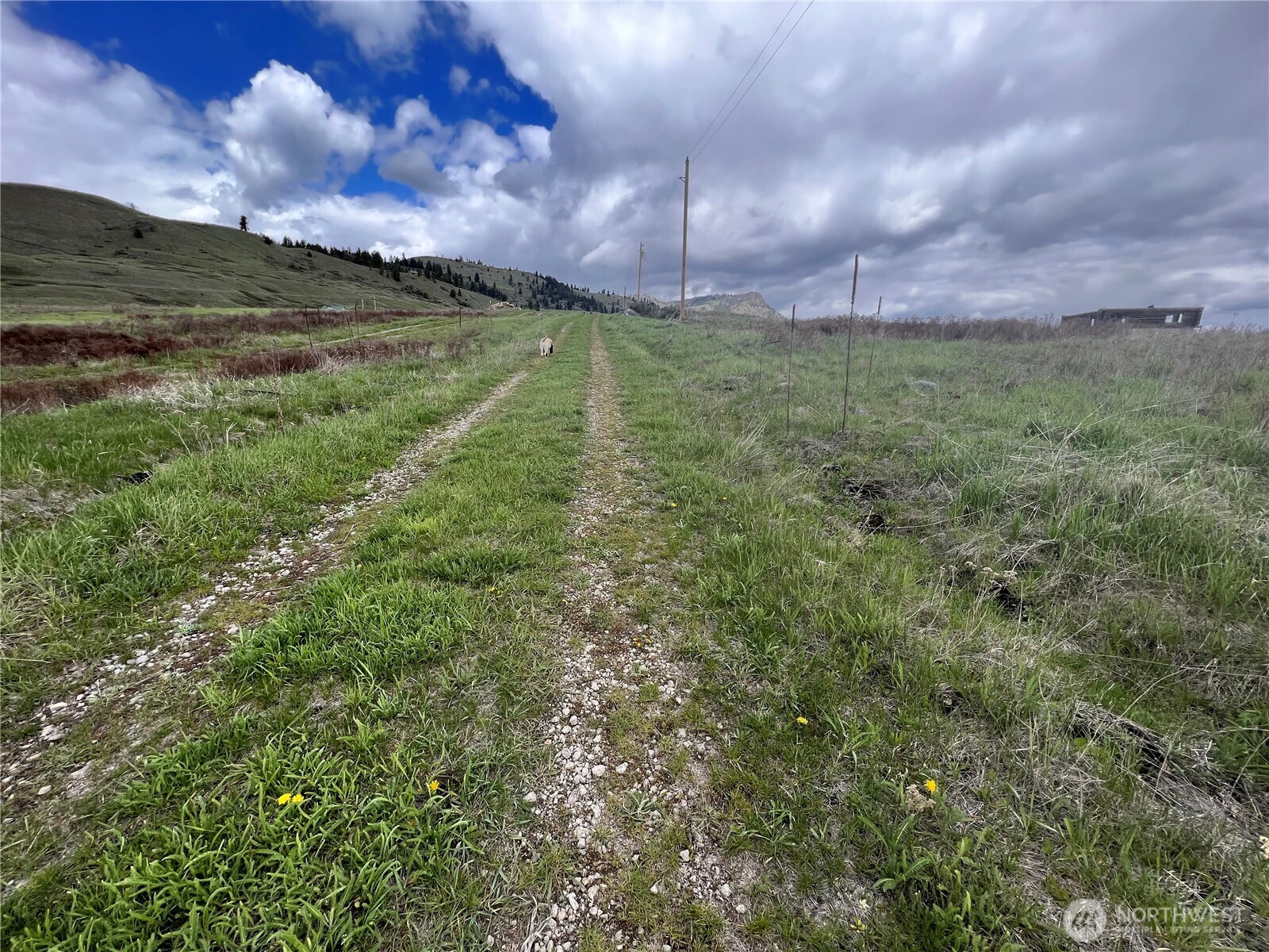 24 Spoke Lane Republic WA 99166