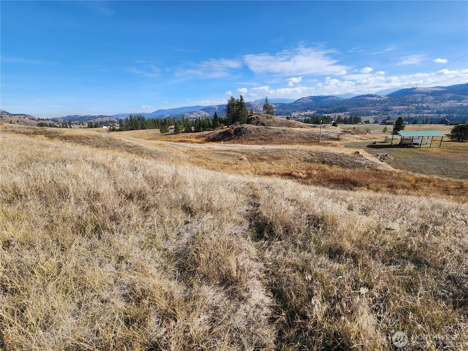 24 Spoke Lane Republic WA 99166