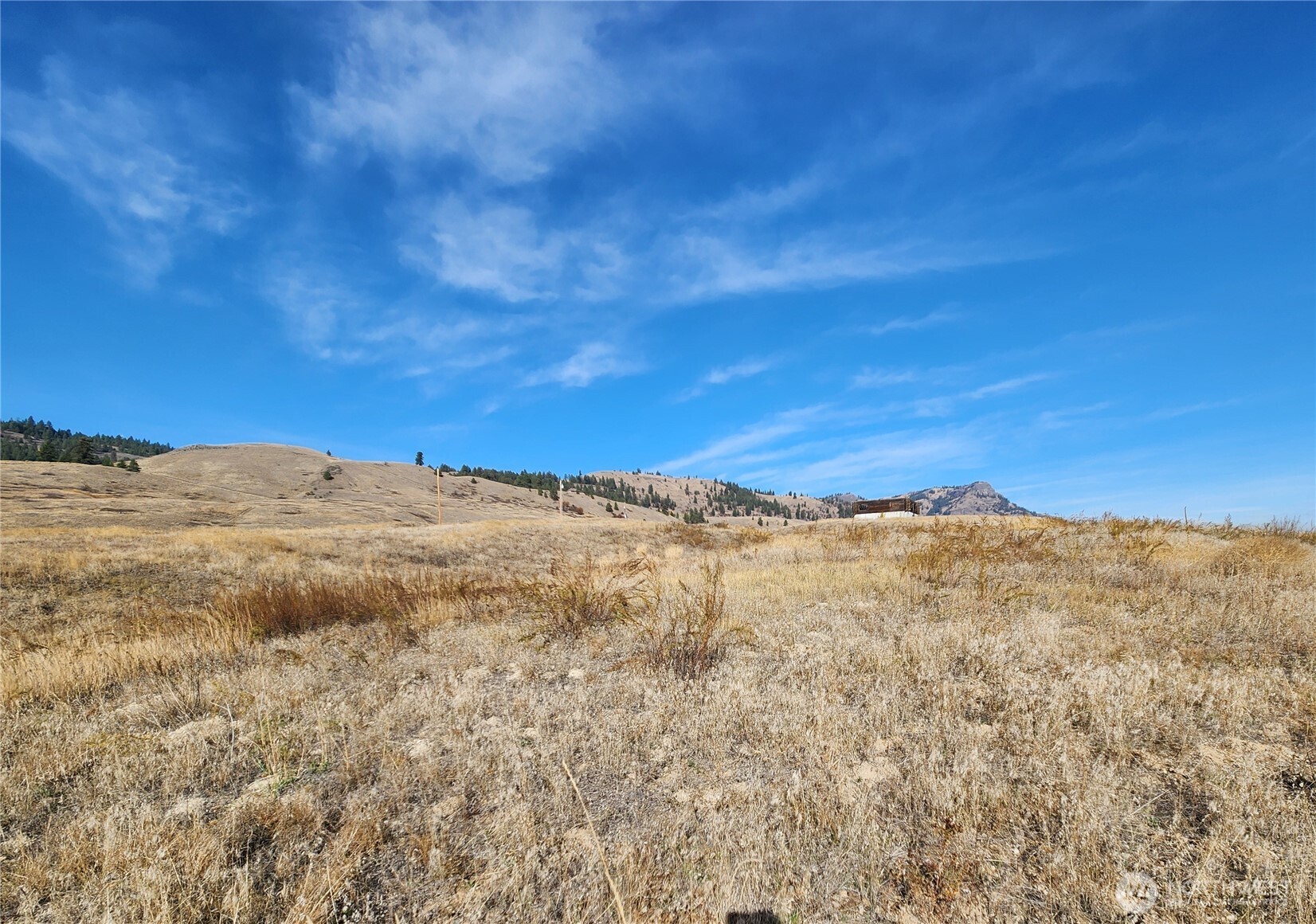 24 Spoke Lane Republic WA 99166