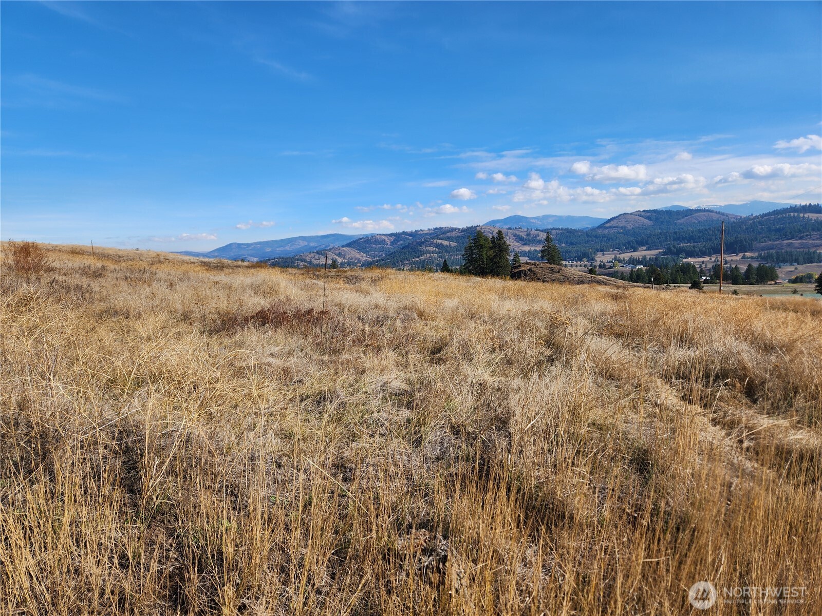 24 Spoke Lane Republic WA 99166