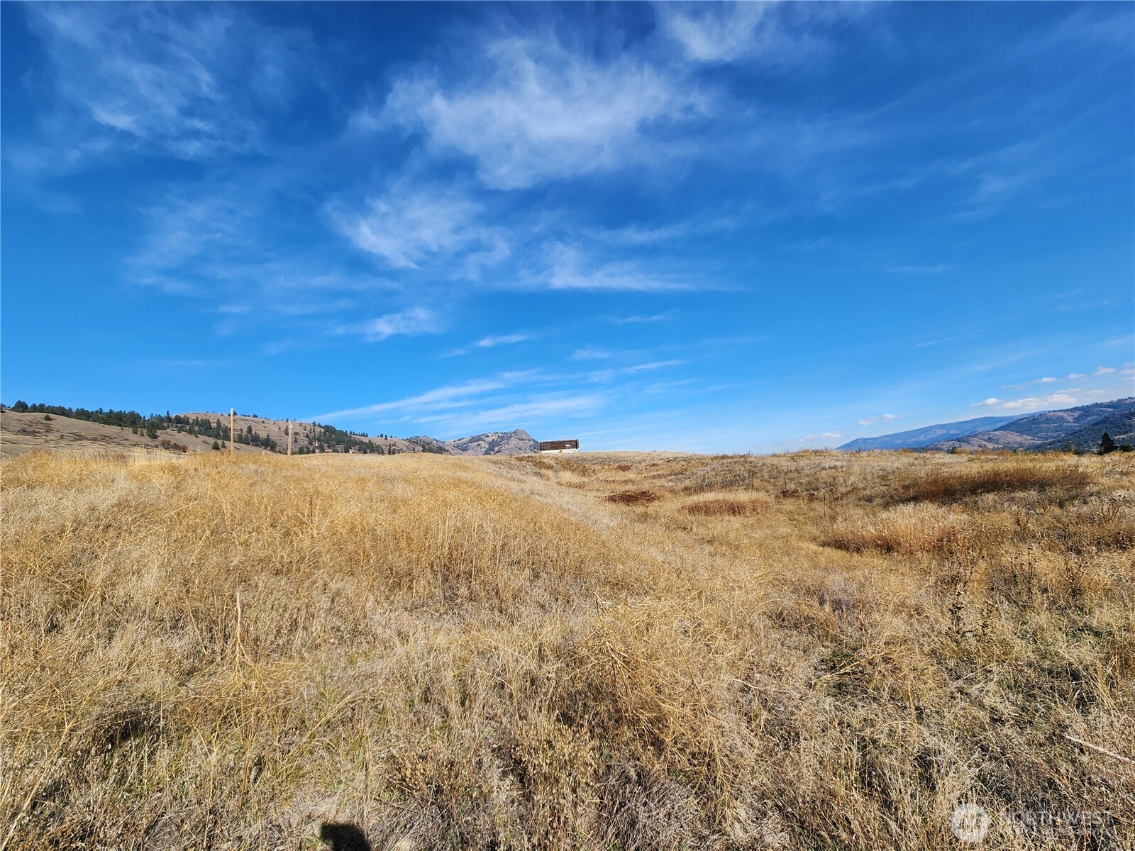 24 Spoke Lane Republic WA 99166