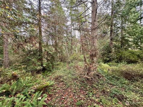 0 S Bagley Creek Road Port Angeles WA 98362