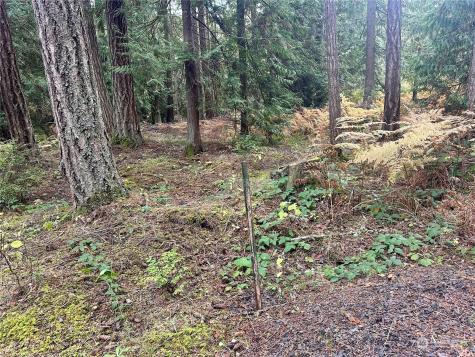 0 S Bagley Creek Road Port Angeles WA 98362