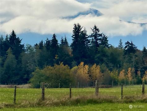 0 S Bagley Creek Road Port Angeles WA 98362