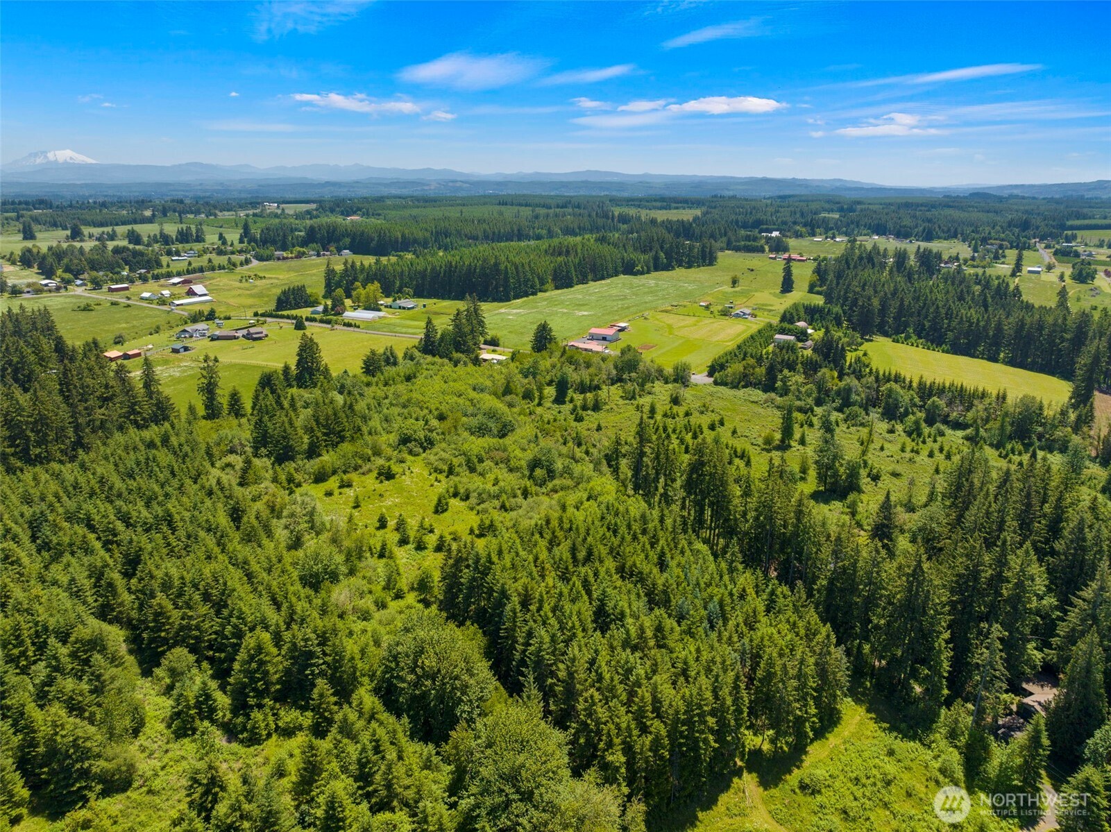 0 SE Rice-multiple Mdr/ldr Parcels Winlock WA 98596