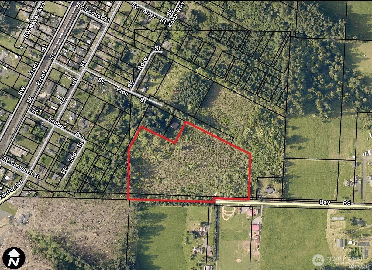 0 SE Rice-multiple Mdr/ldr Parcels Winlock WA 98596