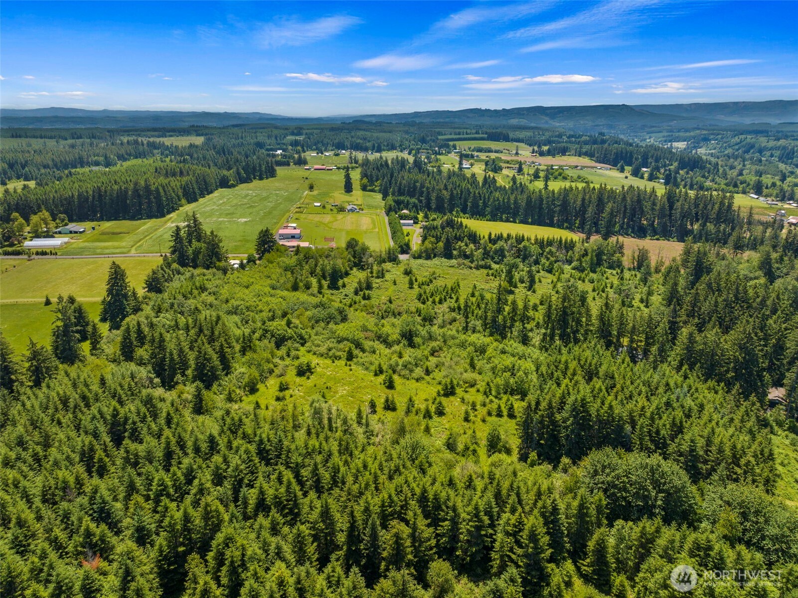 0 SE Rice-multiple Mdr/ldr Parcels Winlock WA 98596