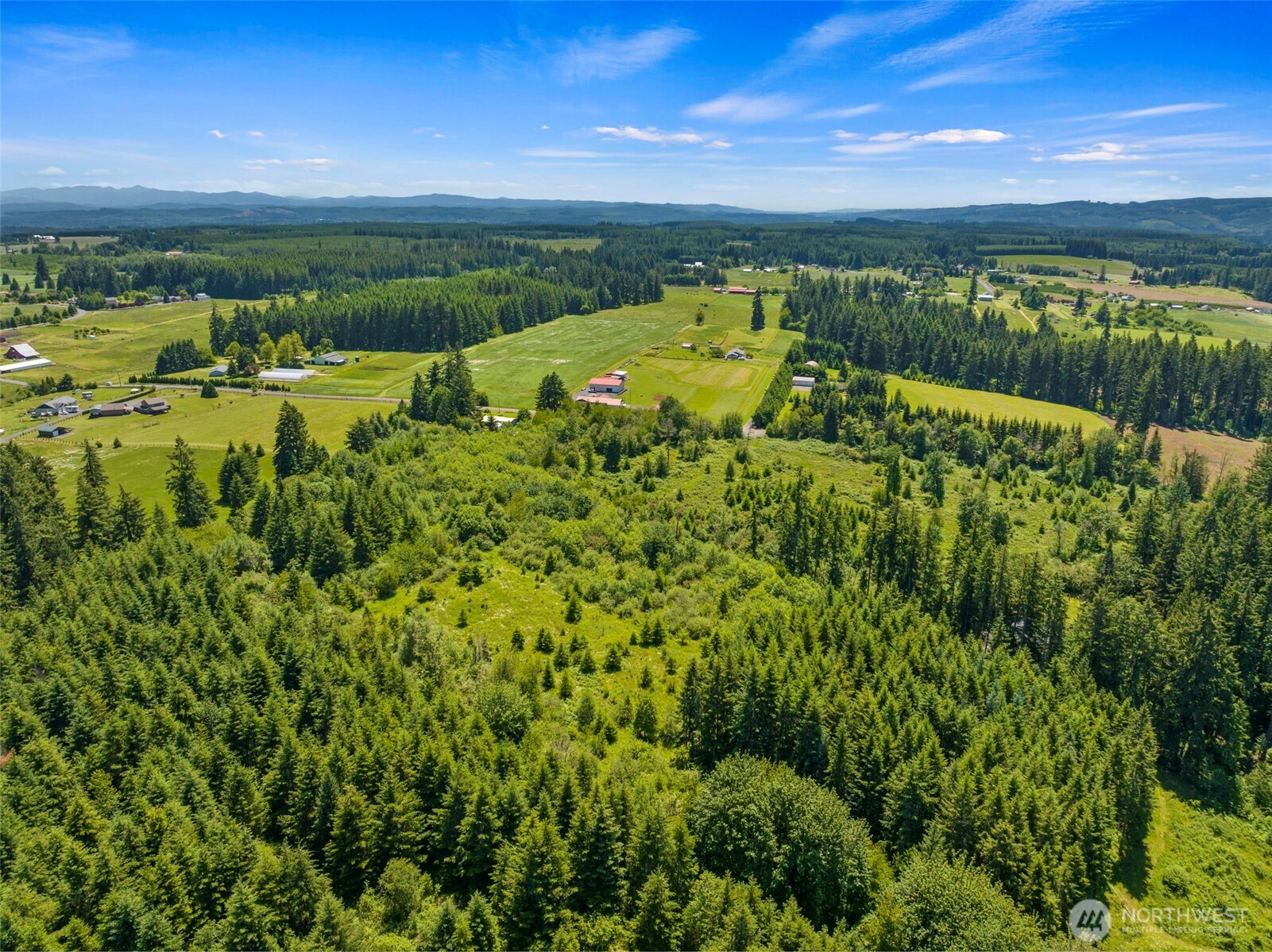 0 SE Rice-multiple Mdr/ldr Parcels Winlock WA 98596