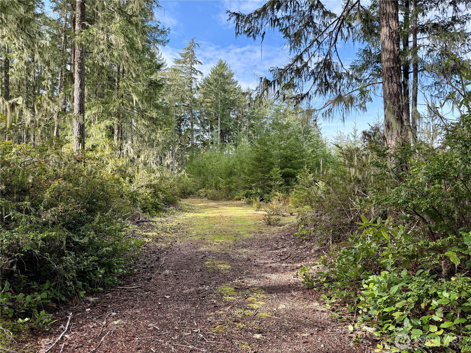 7288 Beauchamp Lane NW Seabeck WA 98380