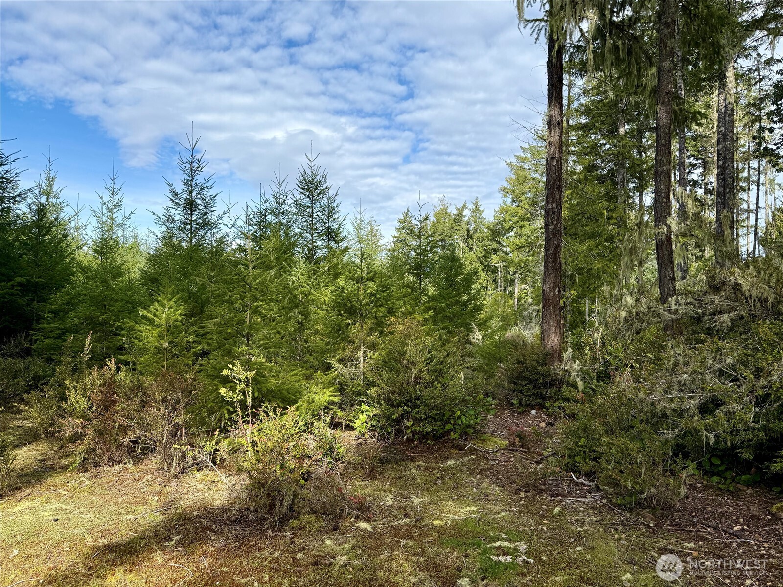 7288 Beauchamp Lane NW Seabeck WA 98380