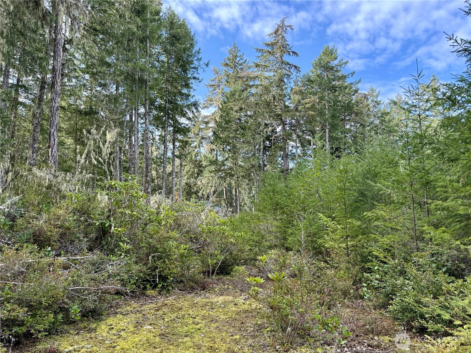 7288 Beauchamp Lane NW Seabeck WA 98380