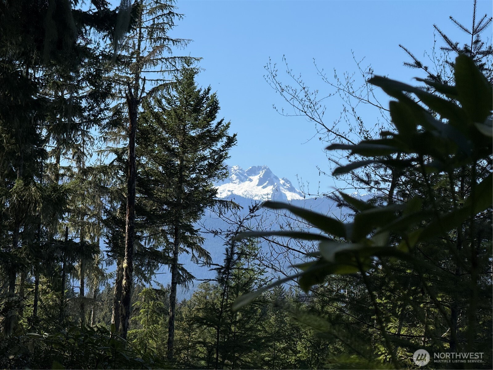 7288 Beauchamp Lane NW Seabeck WA 98380