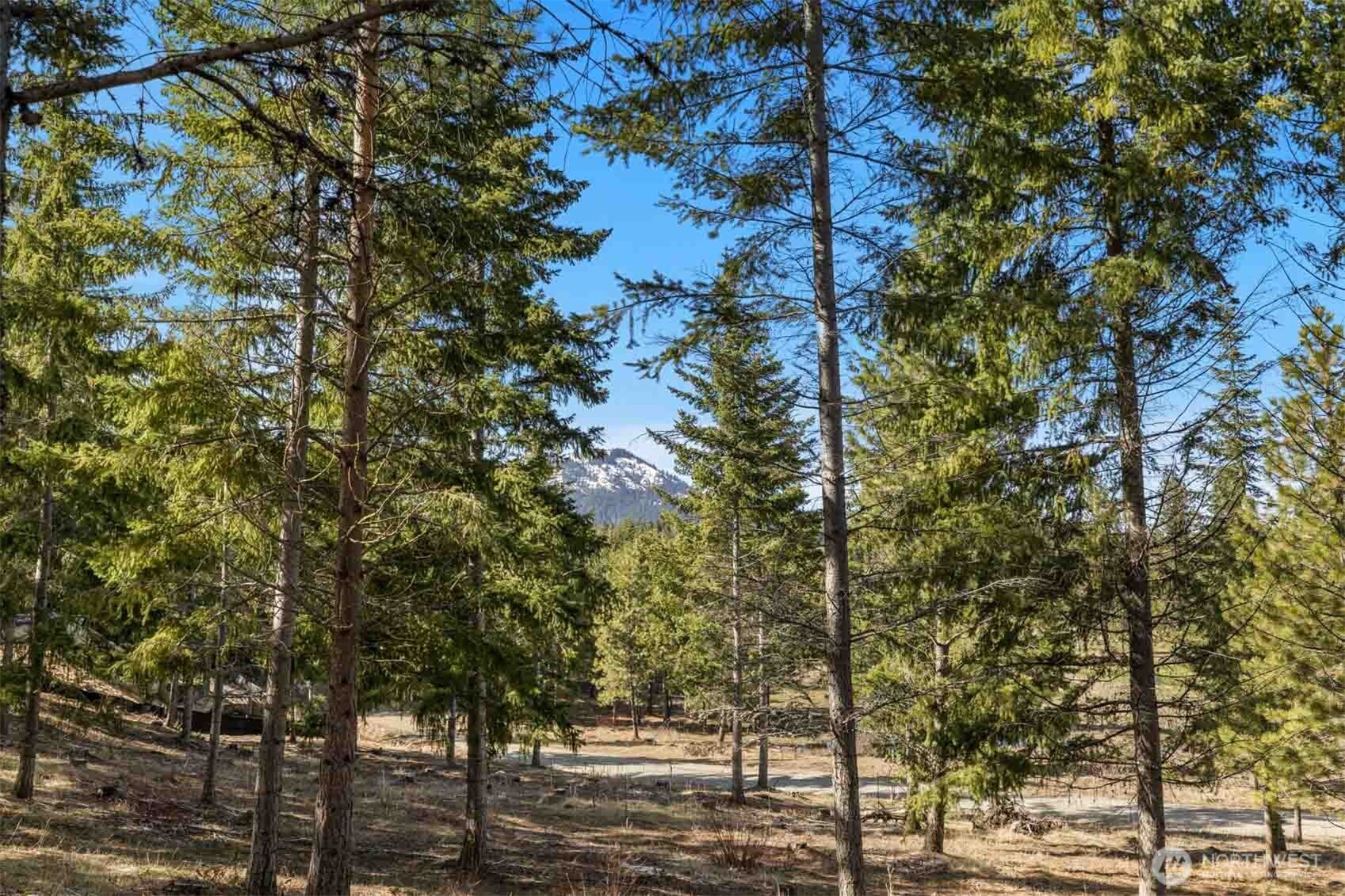 64 Liberty Bell Lane Cle Elum WA 98922