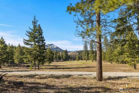 64 Liberty Bell Lane Cle Elum WA 98922